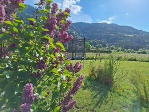 Property grounds - Spacious house with garden near a ski resort (Kötschach-Mauthen)