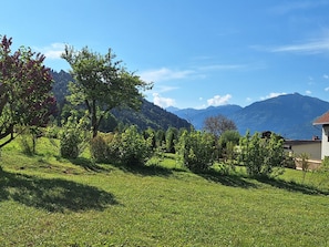 Área da propriedade