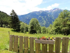 Property grounds - Authentic Austrian chalet in the mountains (Obervellach)