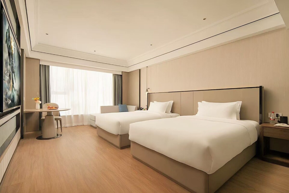 Elite Twin Room, City View | View from room