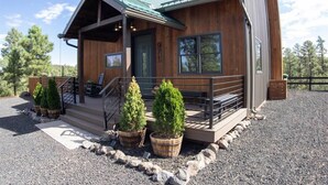 A wooden cabin with a metal roof, a porch with steps, and three potted evergreen trees. - Cabin Retreat in the White Mountains of Arizona (Show Low)