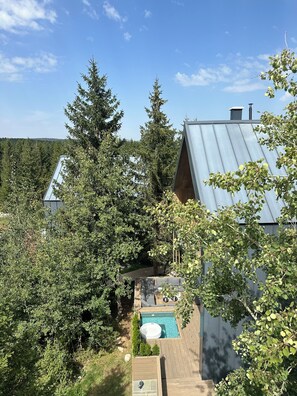 Exterior - Monte Pine Chalet 1 (Žabljak)