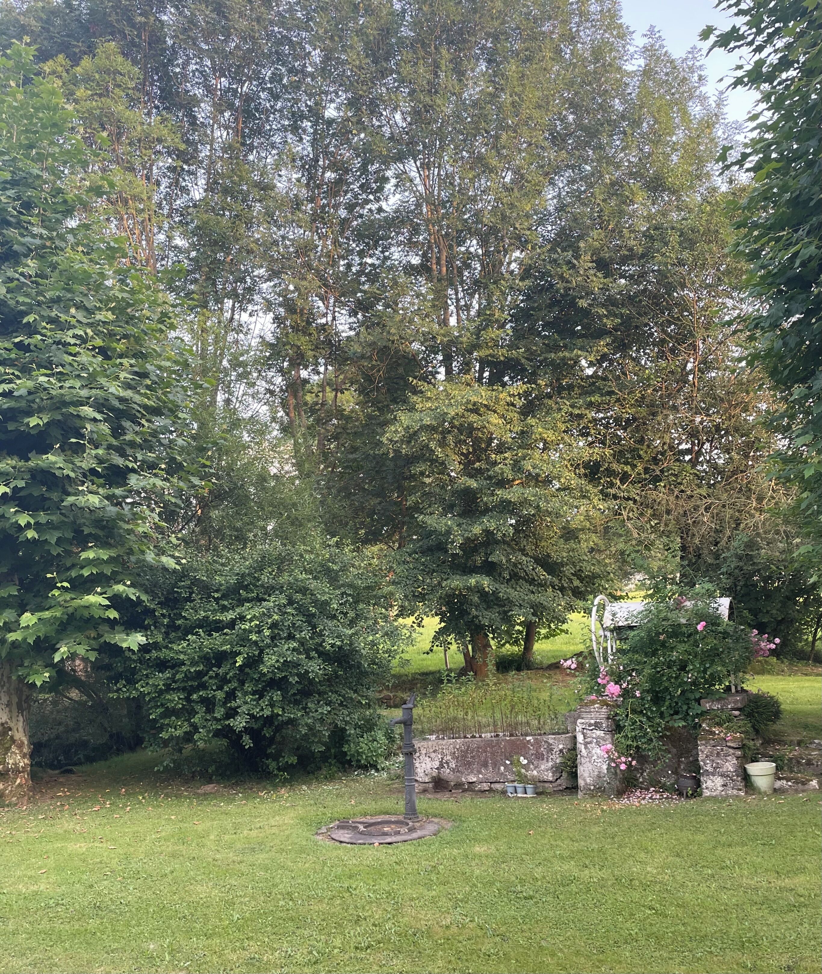 Ein Garten mit Brunnen, Steinarchitektur und üppigem Grün.
