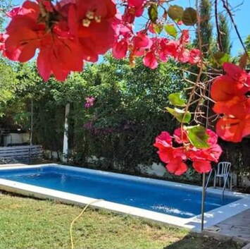 Swimming pool view