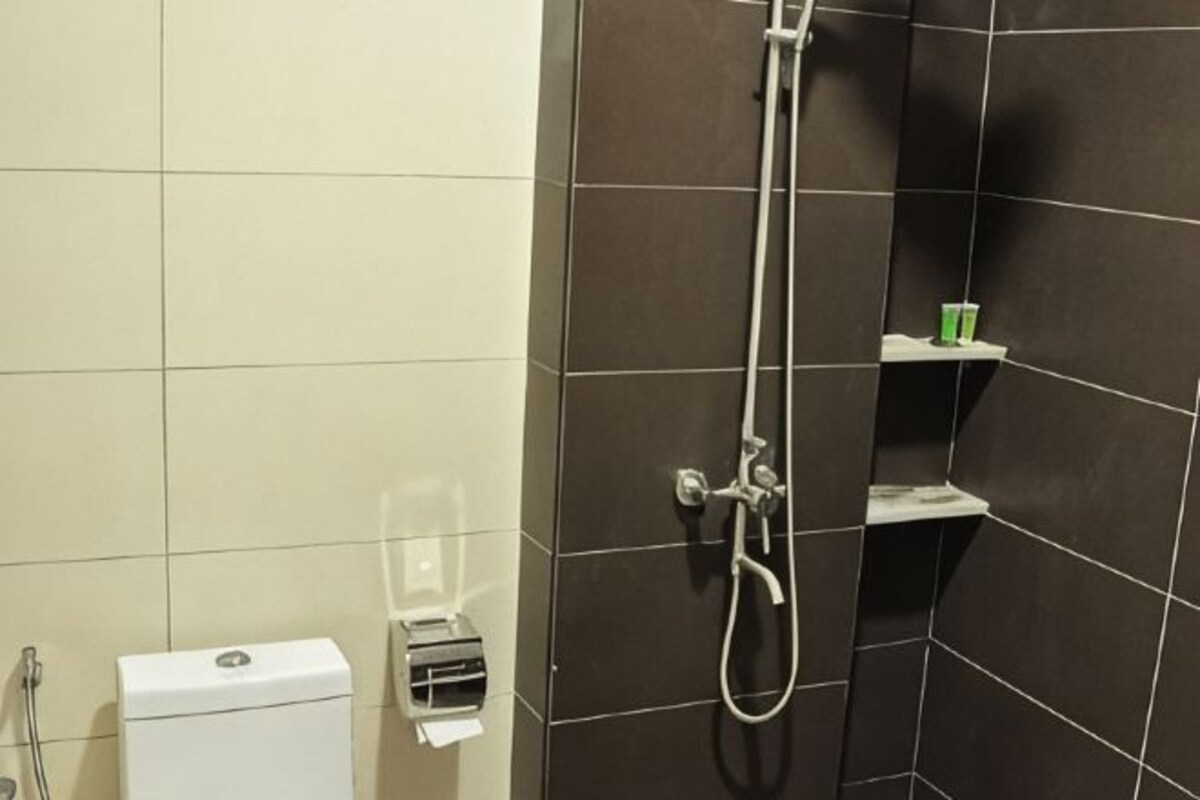 A bathroom with a toilet, a shower, and a shelf with toiletries.