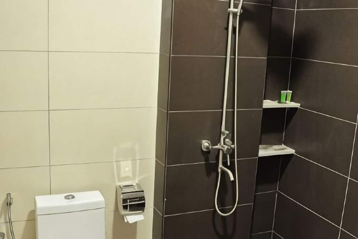 A bathroom with a toilet, a shower, and a shelf with toiletries.