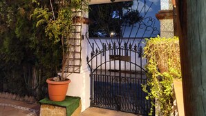 A gated entrance with a potted plant, a metal gate, and a white wall with a window.