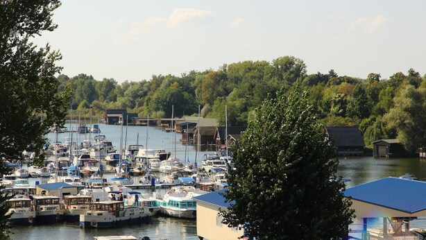 A marina with numerous boats docked, surrounded by trees and buildings.