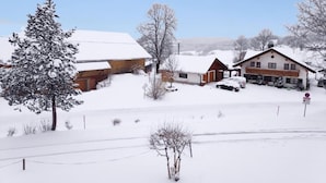 A snow-covered residential area with houses and a tree.