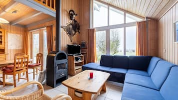 Televisión y chimenea