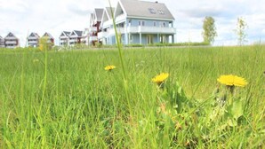 A residential area with houses and a grassy field with dandelions. - liebevoll eingerichtetes Appartement (Rechlin)