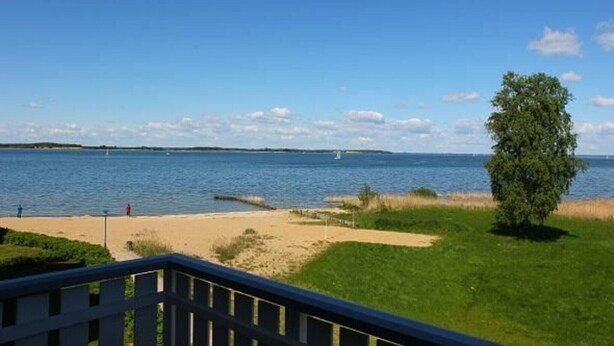 A beach with a clear view of the water, a sandy shore, and a tree. - exklusives Appartement in Rechlin (Rechlin)
