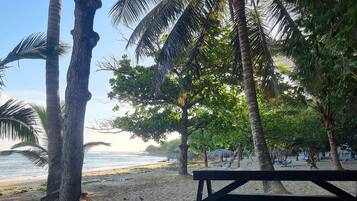 Una playa con palmeras, un banco de madera y vista al océano.
