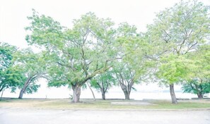 منوع