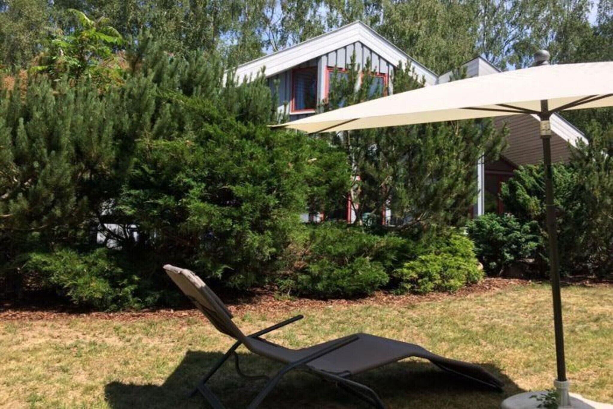 Um quintal com uma cadeira de jardim sob um grande guarda-sol, cercado por árvores densas e uma casa ao fundo.