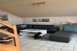 Fernseher, Kamin
