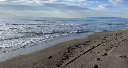 Il Pettirosso Comfortable Holiday Residence