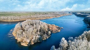Un río con una pequeña isla cubierta de árboles.
