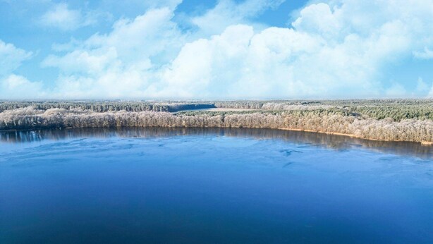 A wide view of a calm lake with a forested shoreline and a clear sky.