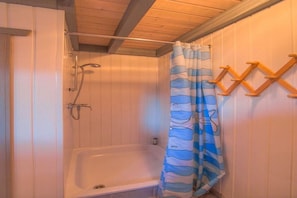 Shower - Gemütliches Ferienhaus im skandinavischen Stil (Granzow)