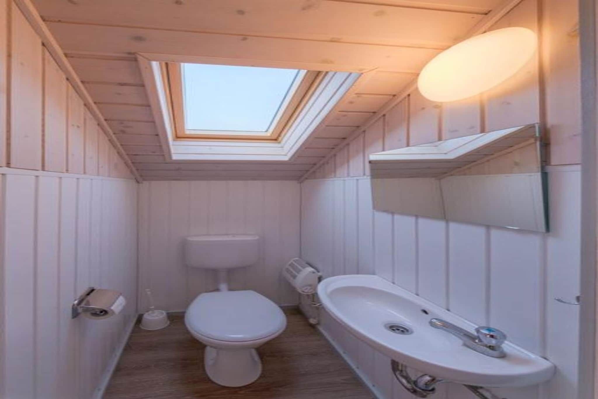 A compact bathroom with a skylight, a toilet, a sink, and a mirror.