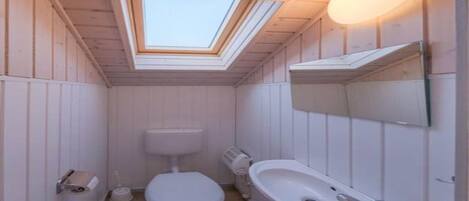 A compact bathroom with a skylight, a toilet, a sink, and a mirror.