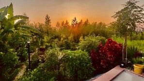 View from property - Gulmohar eco village resort (Naraini)