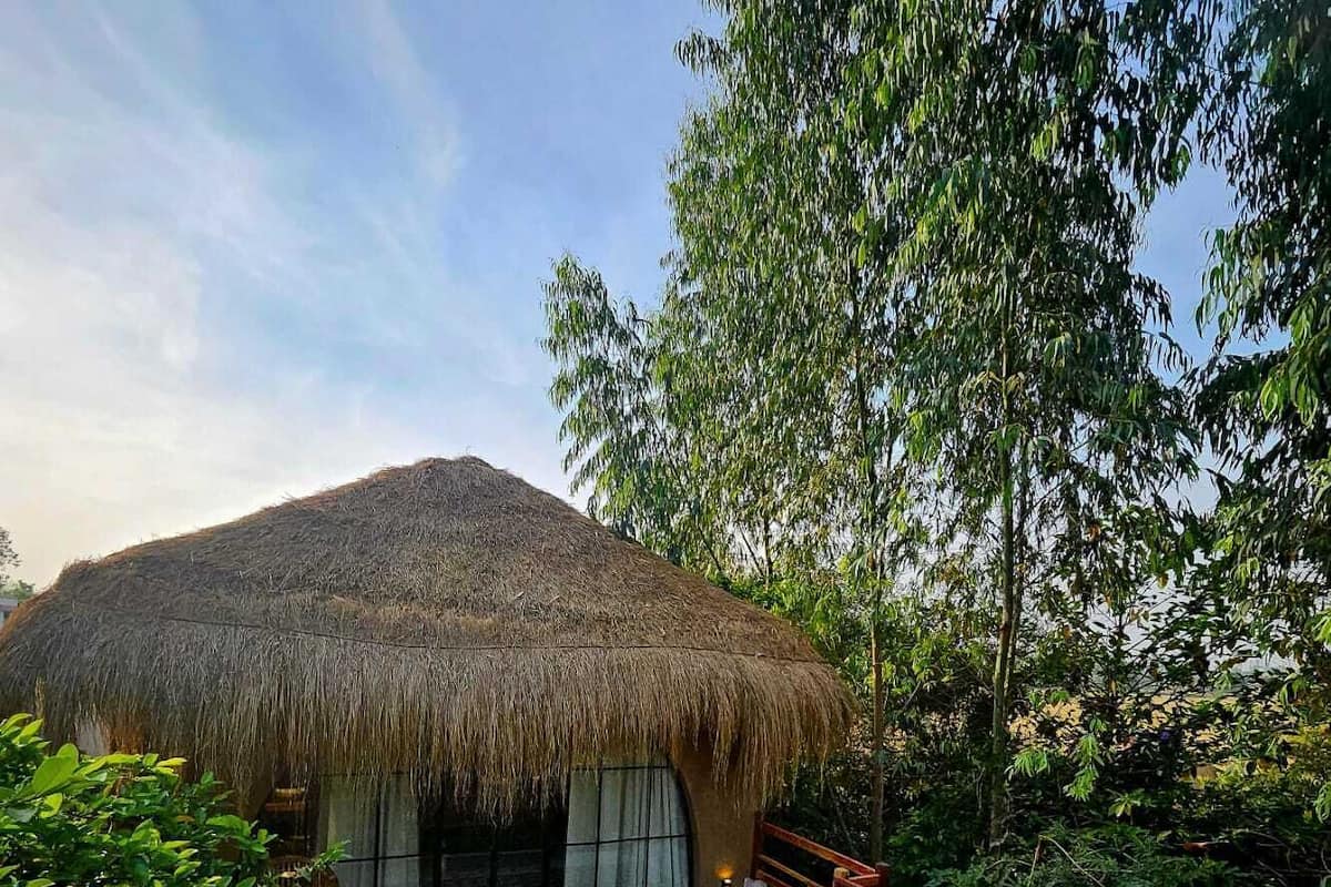 Una cabaña con techo de paja, terraza de madera y barandilla, rodeada de exuberante vegetación.
