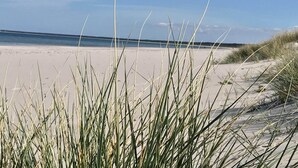 En strand med sand og græs i forgrunden.