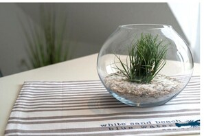 Miscellaneous - Holiday apartment Landoase (Norddeich)