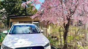 Un'auto bianca parcheggiata di fronte a una casa con un ciliegio.