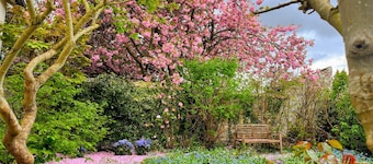 Nice little house with garden. Ideal for a charming weekend