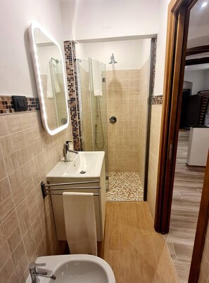 Shower, hair dryer, bidet, towels