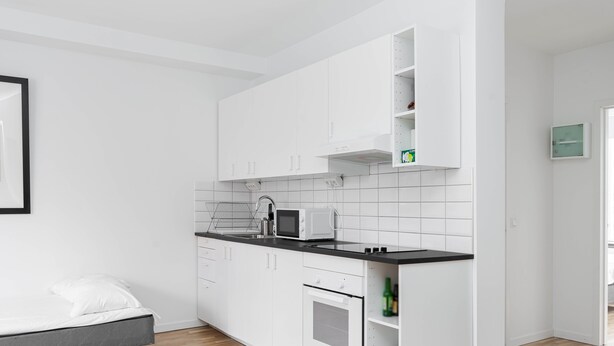 Coffee/tea maker, fridge, microwave, oven - Villa Nova (Lund)