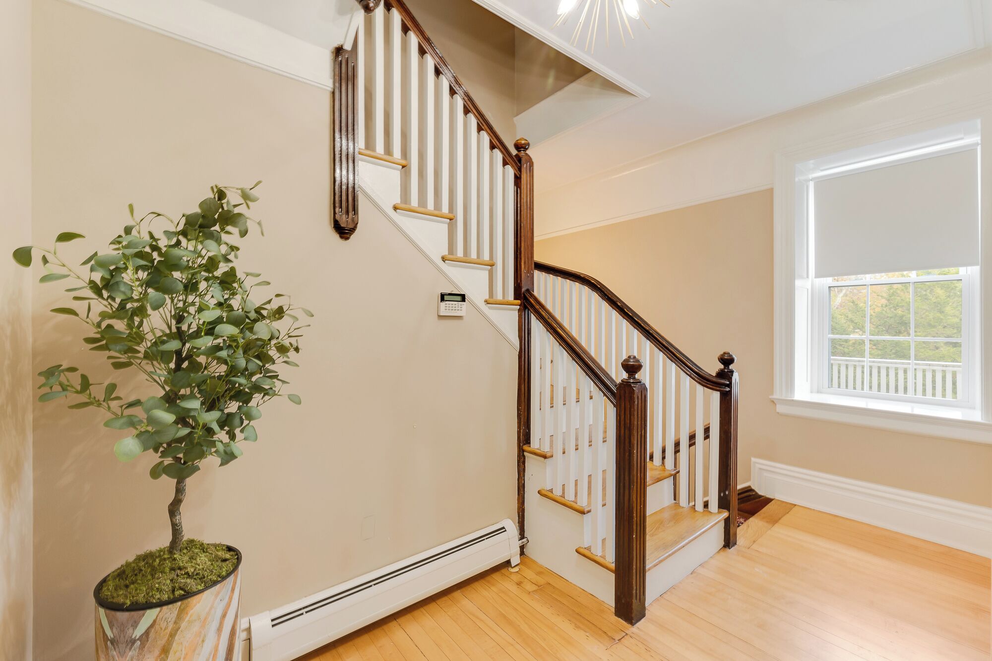 A staircase with white railings and wooden balusters, a potted plant, and a window with a view of greenery.