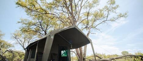 A tent with a simple, functional design, set up in a natural environment with trees and a fallen tree nearby.