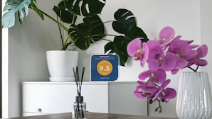 Un comptoir d’accueil d’hôtel agrémenté d’une plante en pot, d’un vase avec des fleurs violettes et d’un panneau indiquant le nombre d’étoiles de l’hôtel.