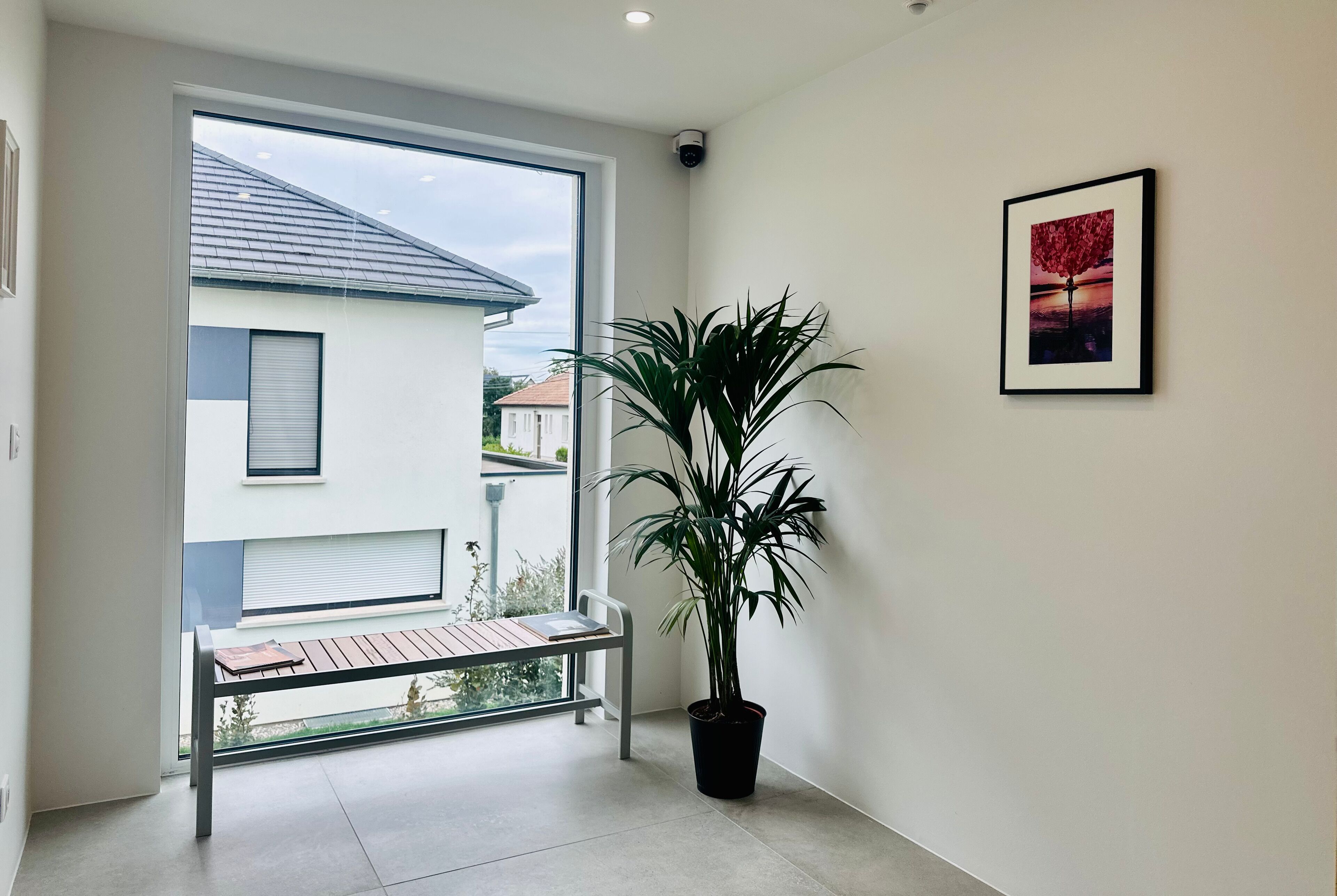 A modern interior with a large window, a potted plant, a bench, and a framed picture on the wall.