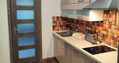 Avignon - 1 Bedroom Flat on the first floor