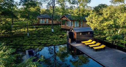 The Postcard in the Durrung Tea Estate