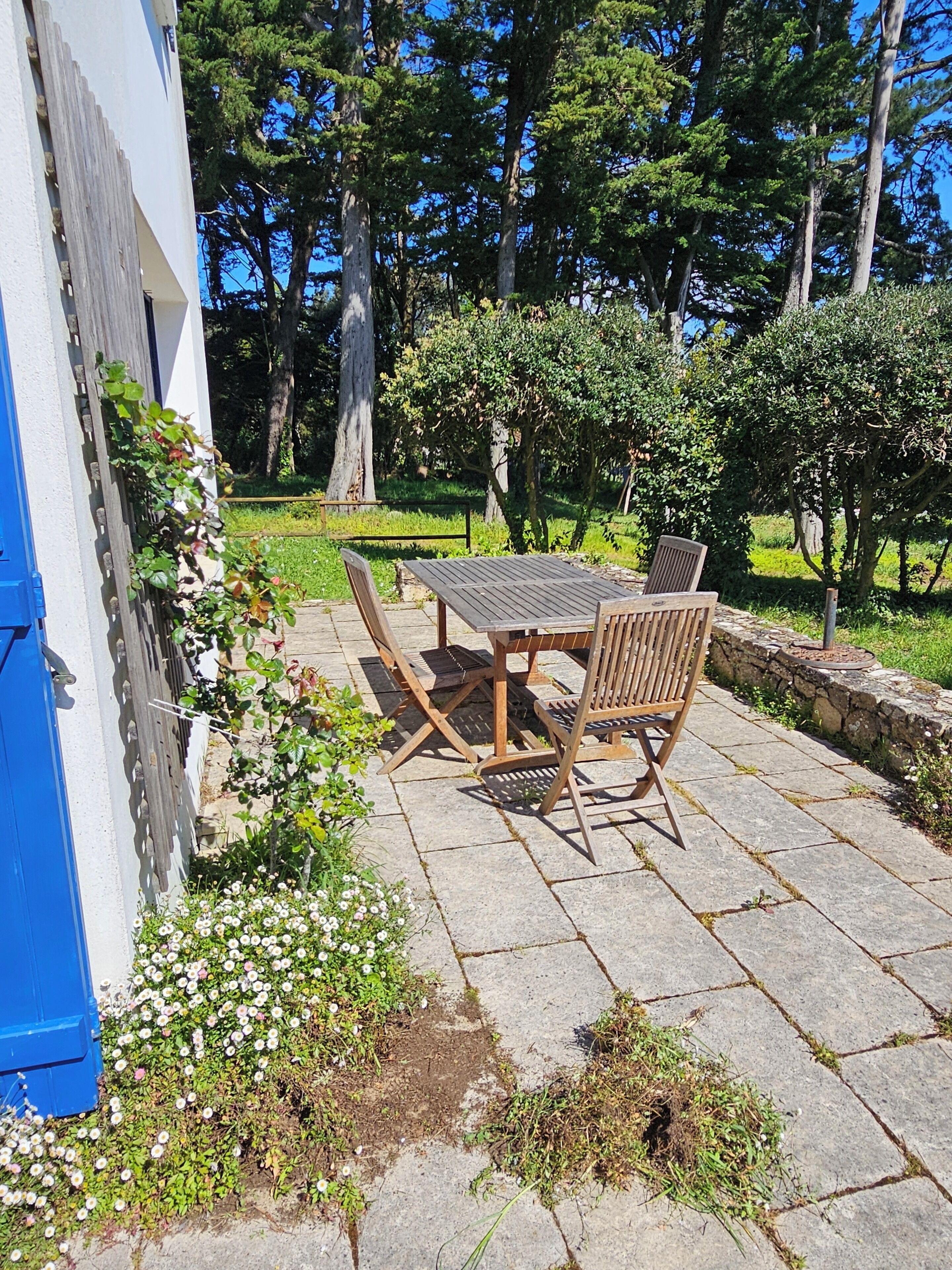 A patio with a table and chairs, surrounded by greenery and trees.