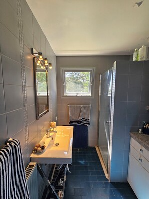 Shower, hair dryer, toilet paper