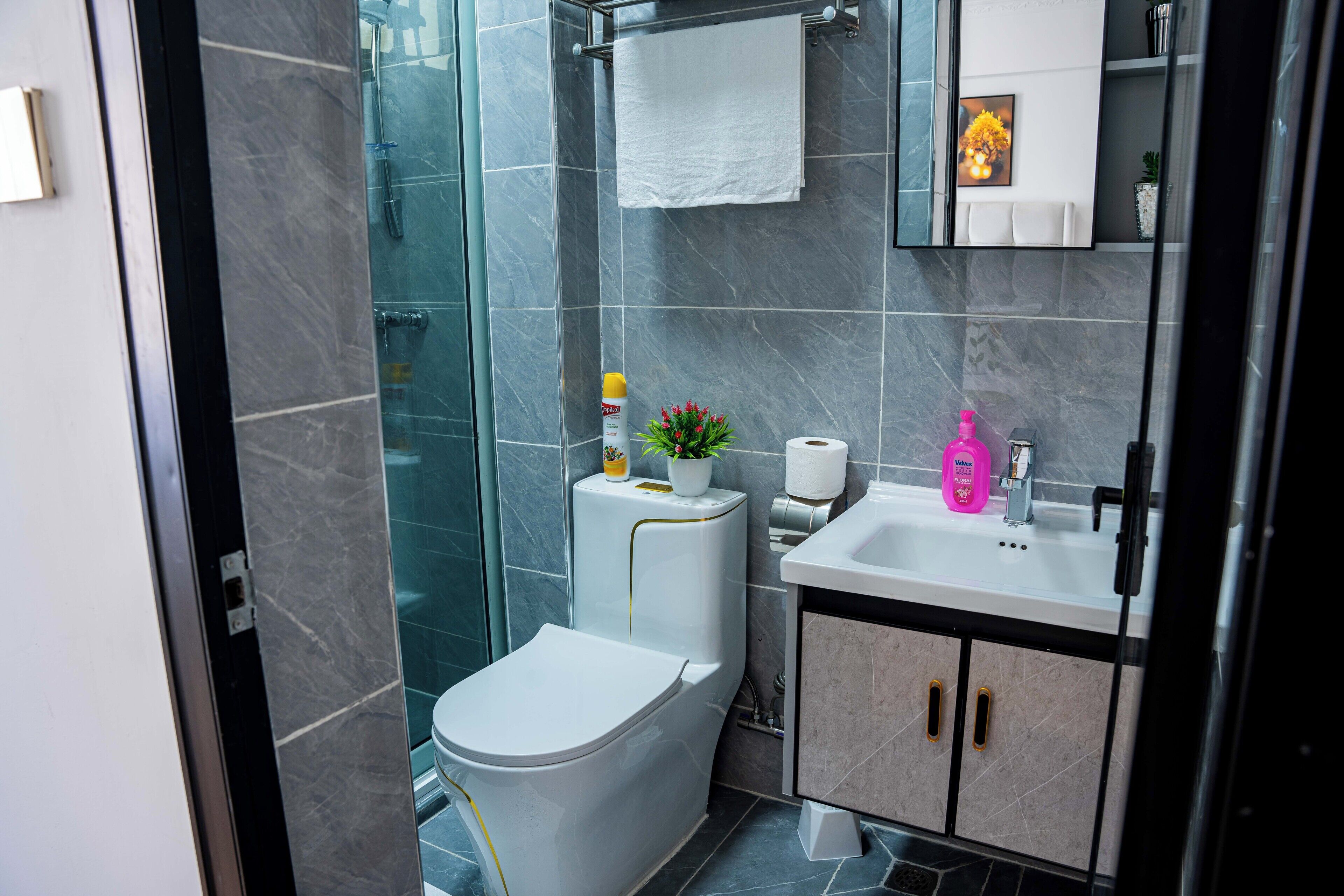 Une salle de bain moderne équipée de toilettes, d’une douche, d’un lavabo et de meubles de rangement.