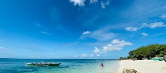 ハイビスカス ダイブ イン