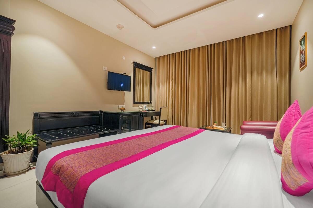 Hotelkamer met een groot bed, een bureau, een stoel, een televisie en een potplant.
