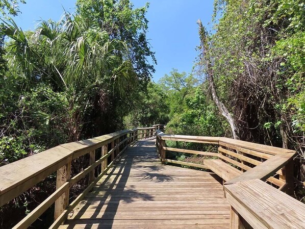 A wooden boardwalk surrounded by dense greenery.