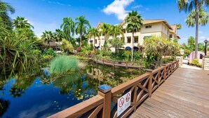 A resort with a wooden deck, a pond, and palm trees. - Elevated Resort-style Terrace near Botanic Gardens (Cairns North)