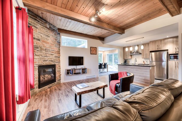 TV, fireplace, books, stereo