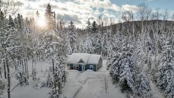 Escape to a serene forest retreat with a cozy cabin featuring a central entrance and pitched roof.