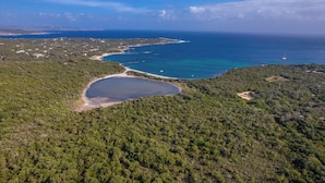 Luftaufnahme einer Küstenregion mit Strand, dichtem Wald und blauem Meer.